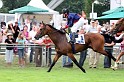 Ascot Renntag09   028